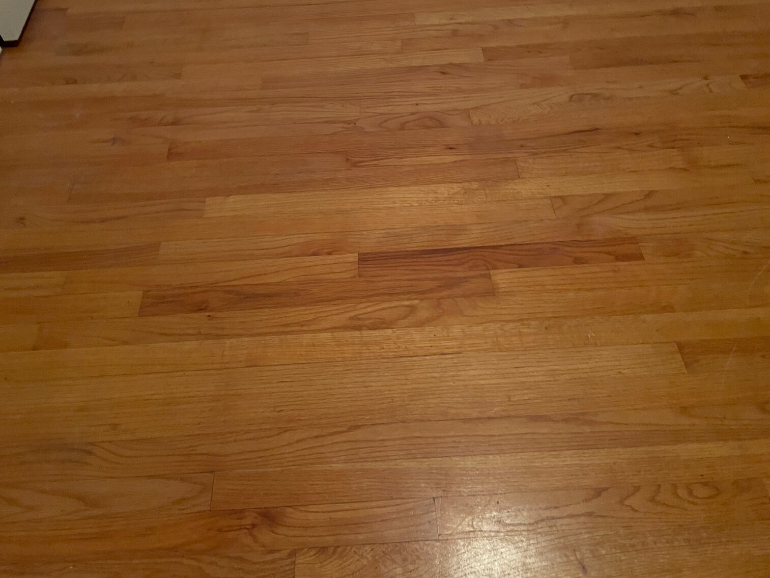 Rockwell One Level on Basement Selling ABSOLUTE