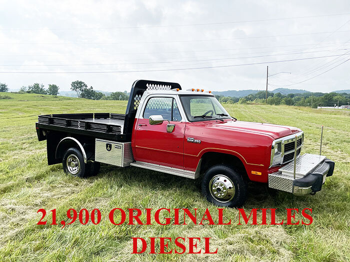 Image for  SATURDAY, JUNE 25th * 10:00 AM