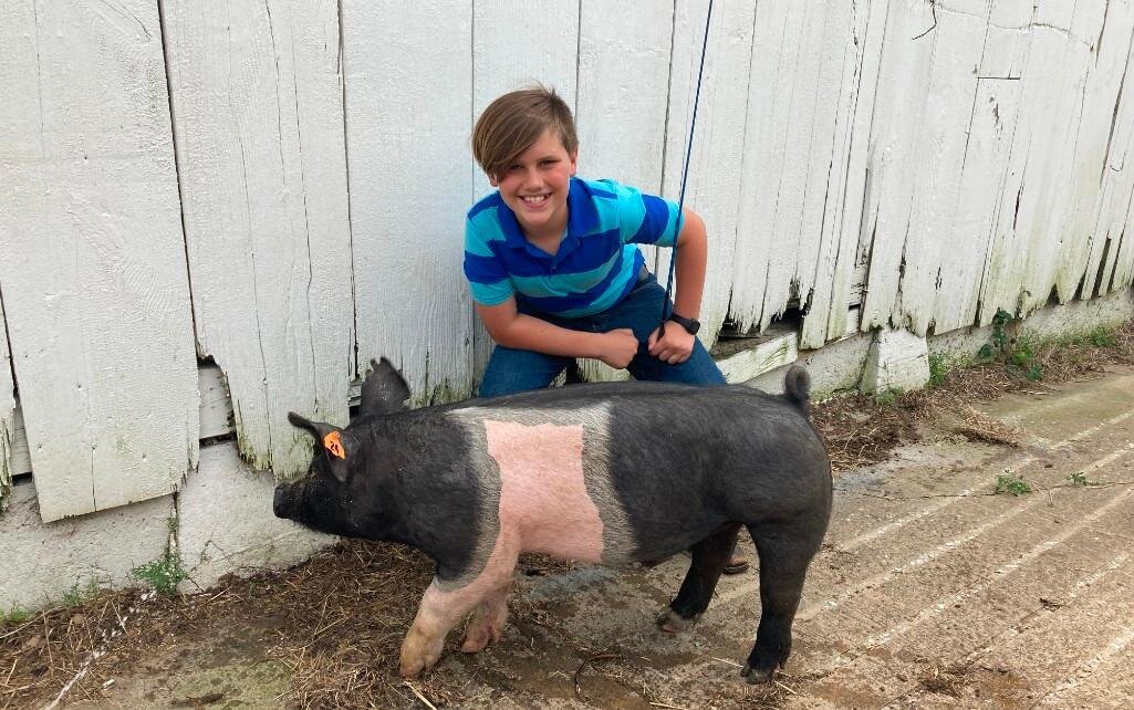 Image for Johnson County MO 4-H & FFA Livestock Auction