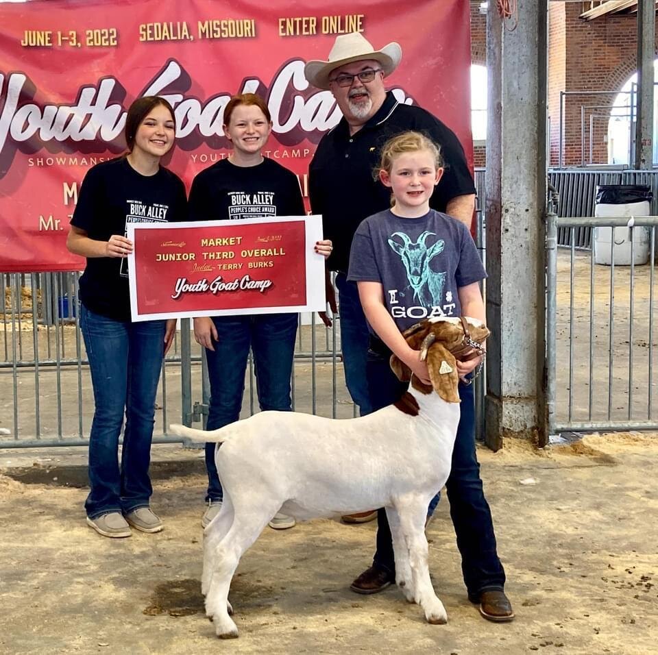 Image for Johnson County MO 4-H & FFA Livestock Auction