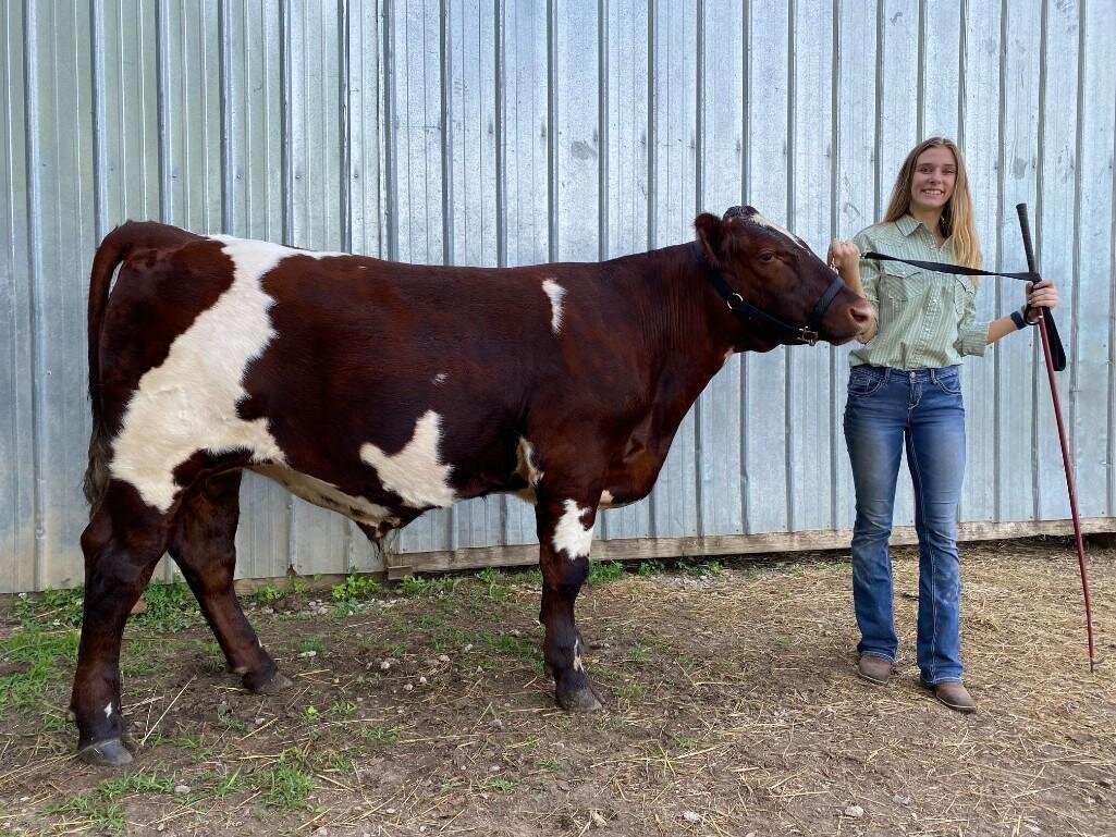 Image for Johnson County MO 4-H & FFA Livestock Auction