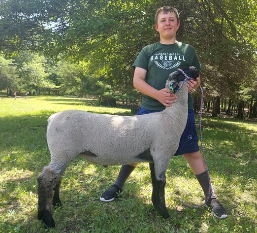 Image for Johnson County MO 4-H & FFA Livestock Auction