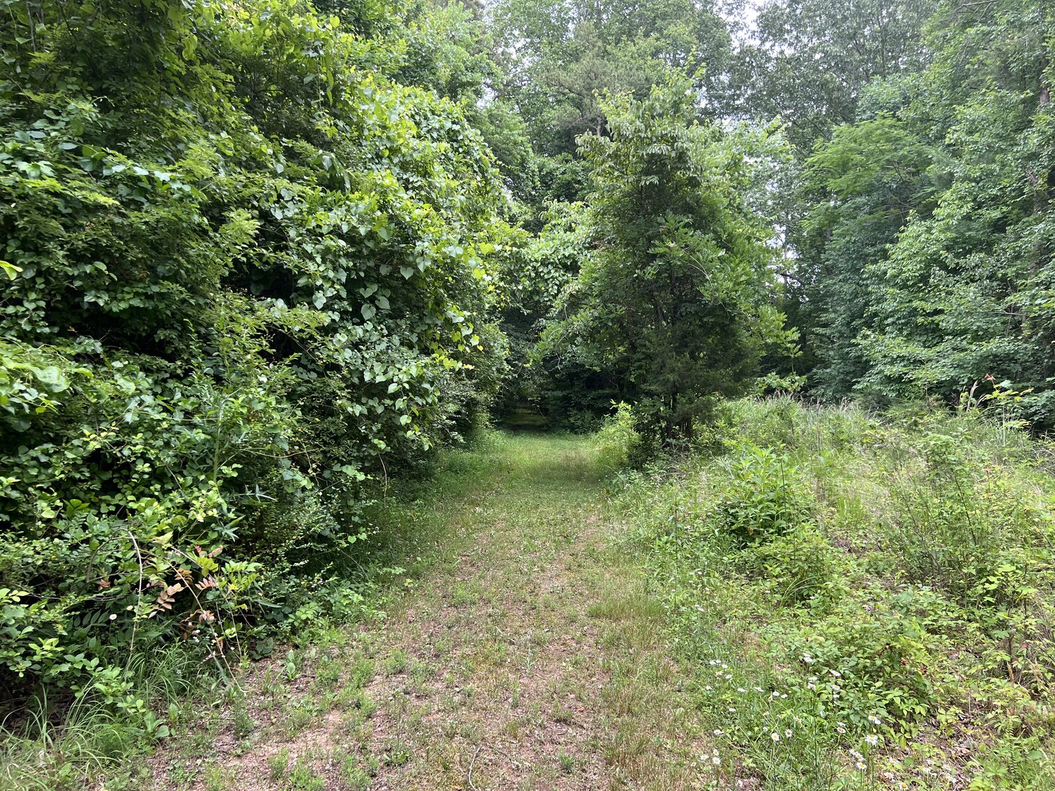 Image for Commissioner's Sale - 210 Penny Lane, Elkin, NC - 10.7± Acres