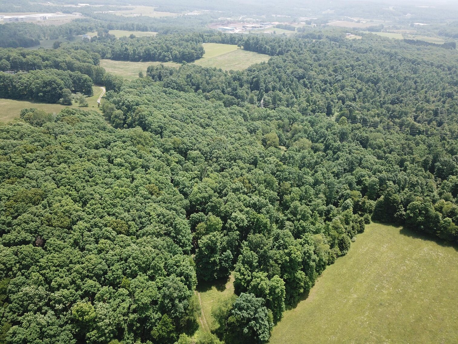 Image for SOLD $440,000 - 110 Acres with Oil & Gas in Preston County
