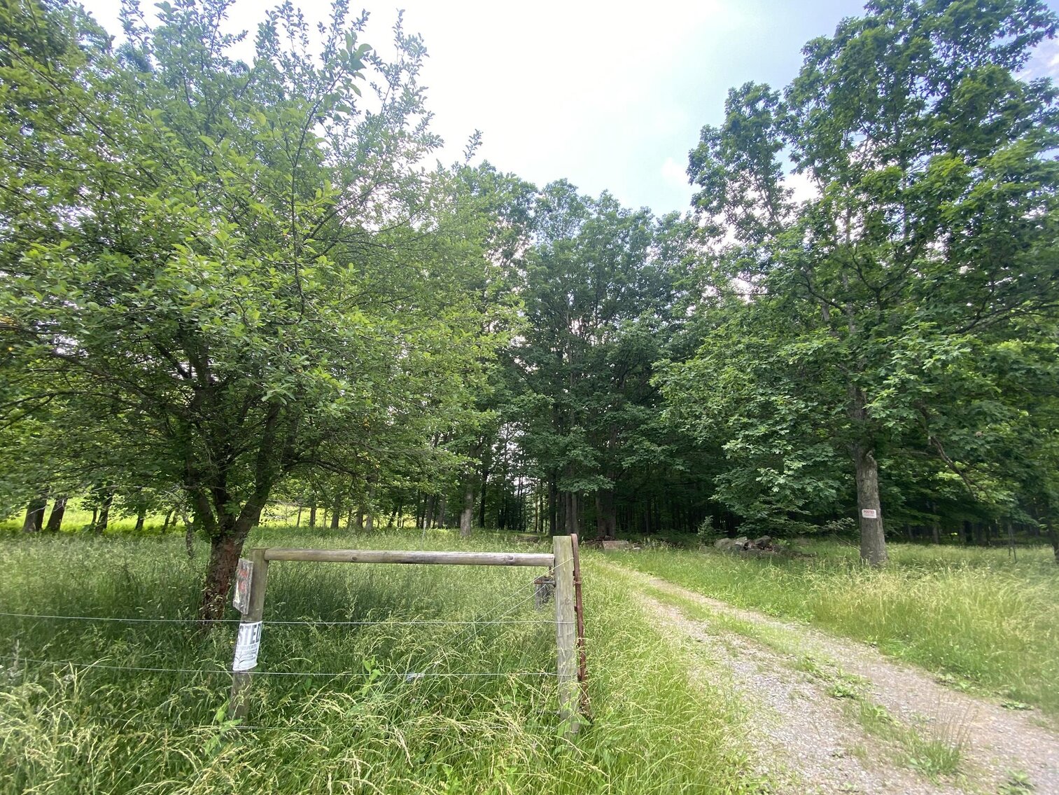 Image for SOLD $440,000 - 110 Acres with Oil & Gas in Preston County