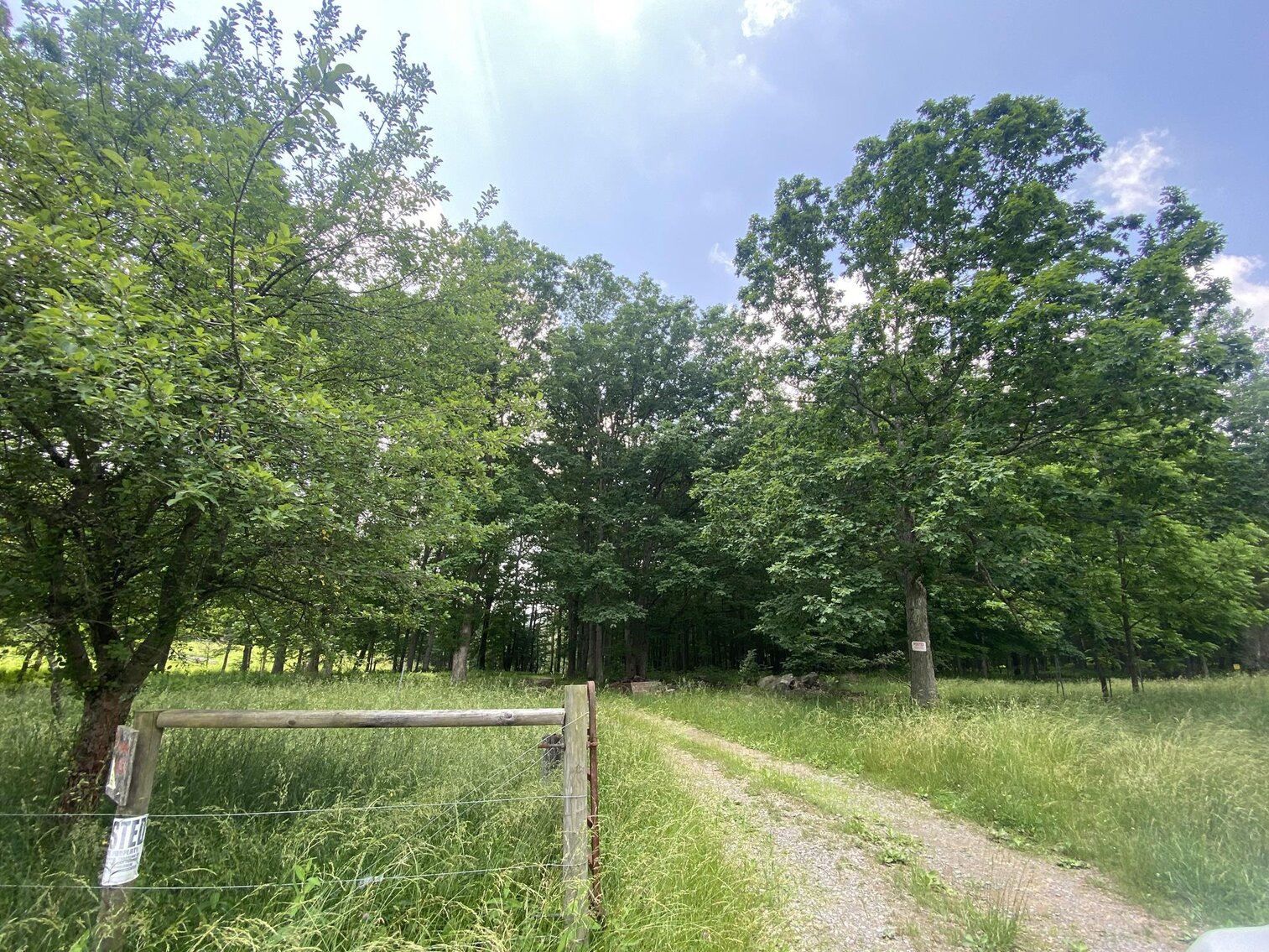 Image for SOLD $440,000 - 110 Acres with Oil & Gas in Preston County