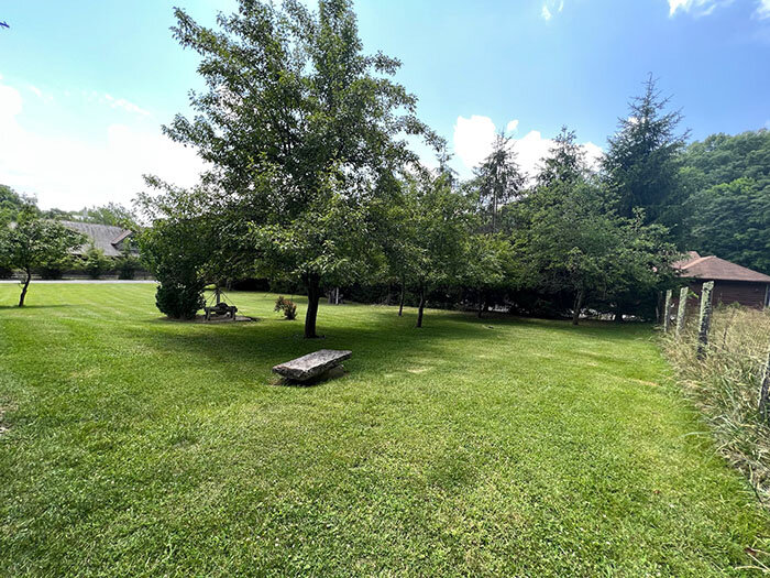 Image for SATURDAY, JULY 2nd * 10:00 AM