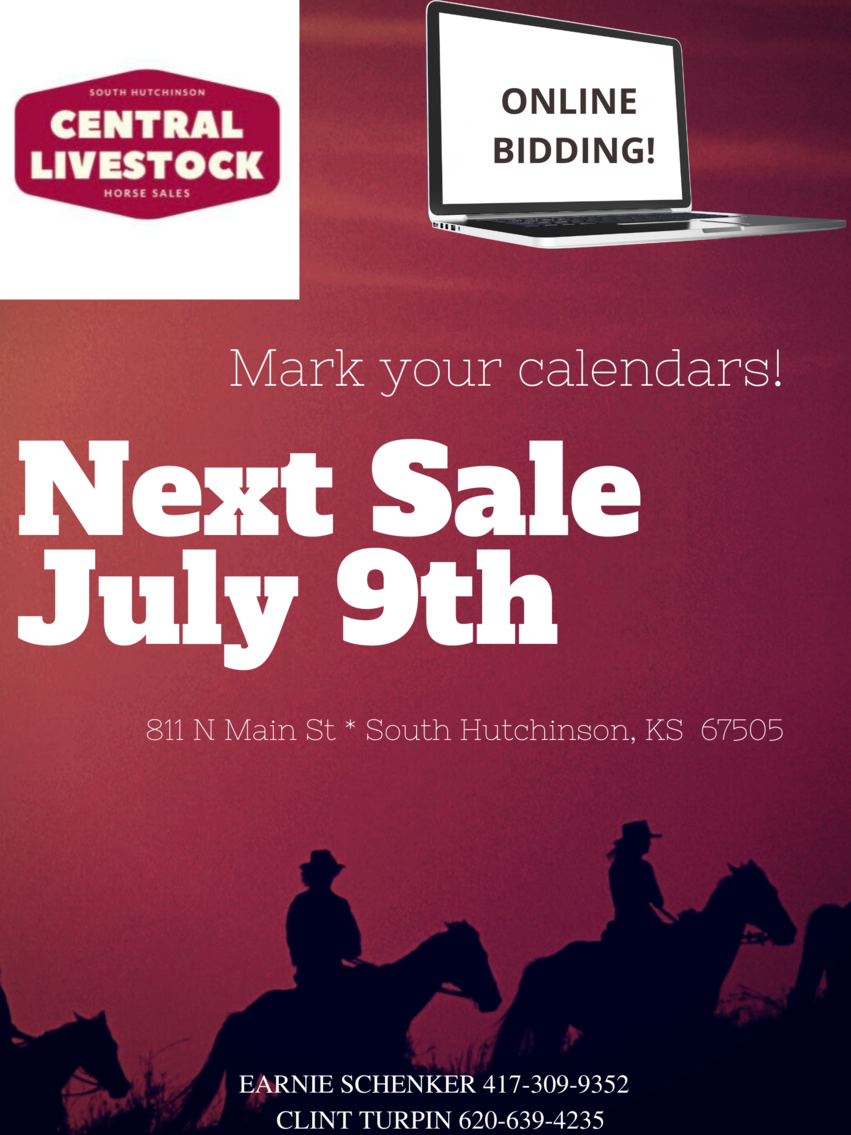 Image for Central Livestock Horse Sale  July 9th - South Hutchinson, Kansas
