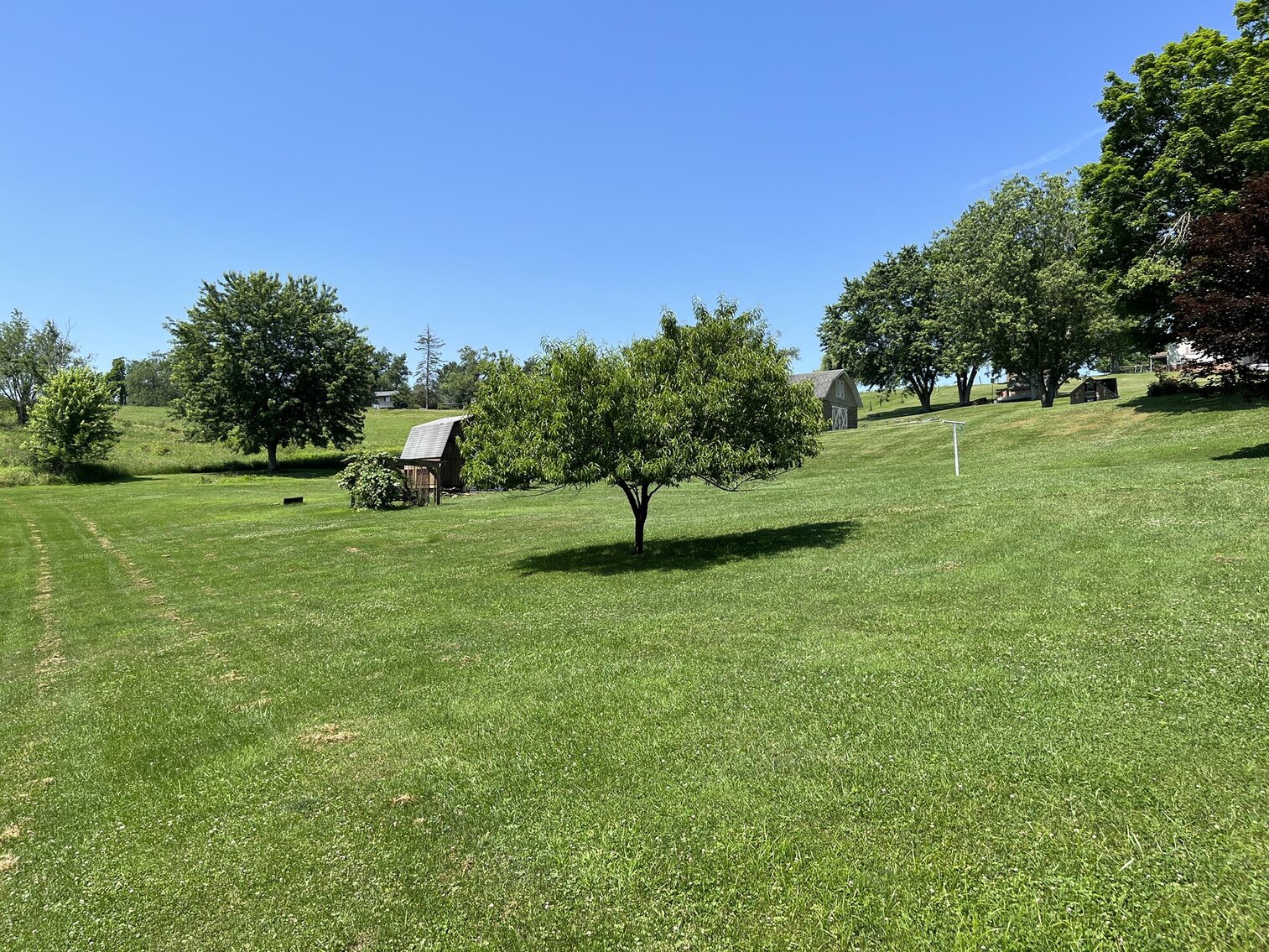 Image for SOLD $253,000 - Move-in Ready 3 Bedroom on 1 Acre