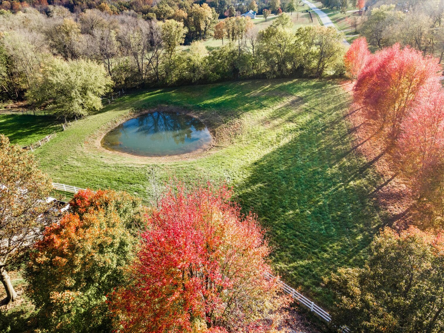Image for SOLD - Quail Run Farm
