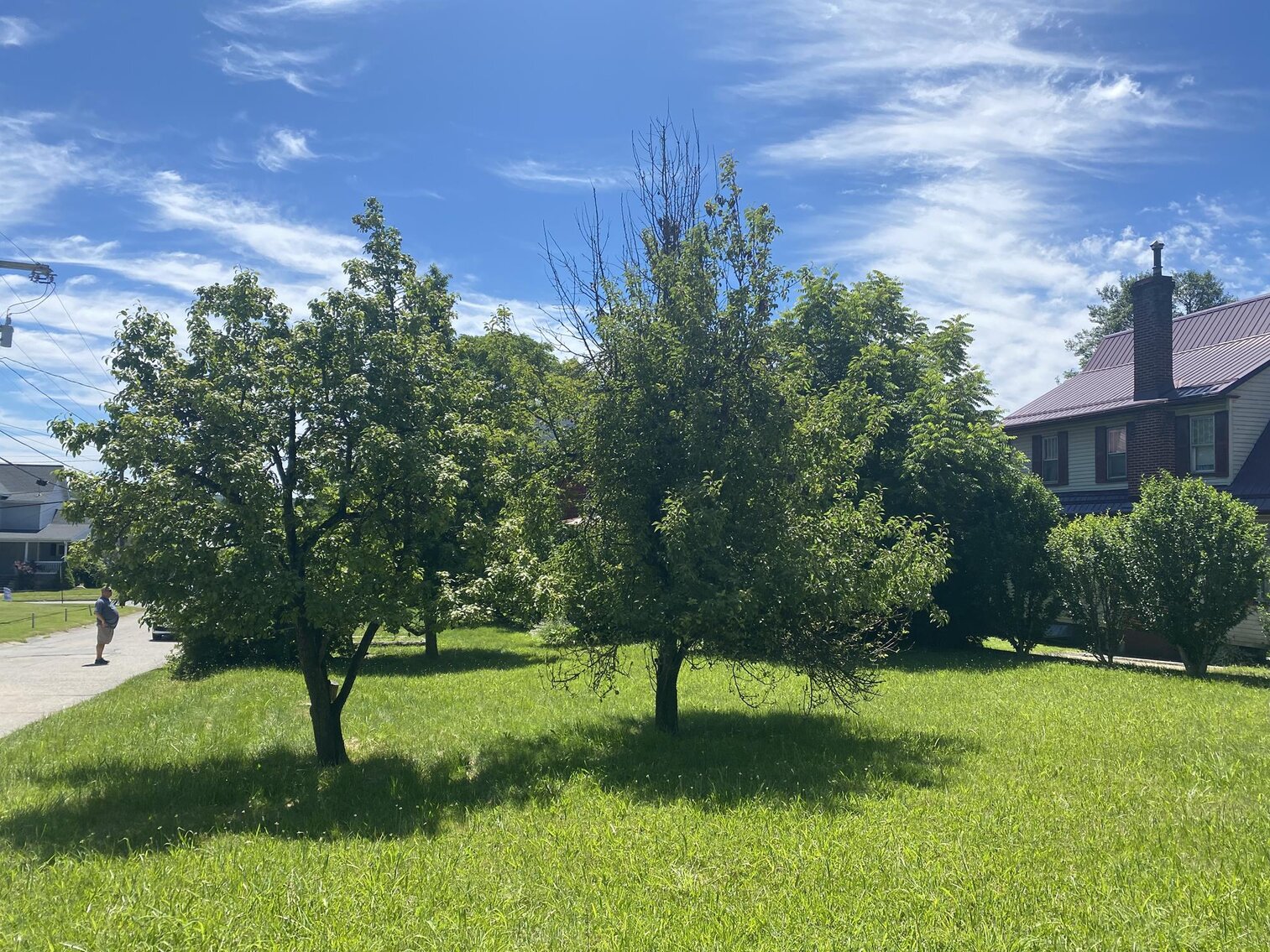 Image for SOLD $51,150 - 2 Multi-Use Rental Units in Buckhannon