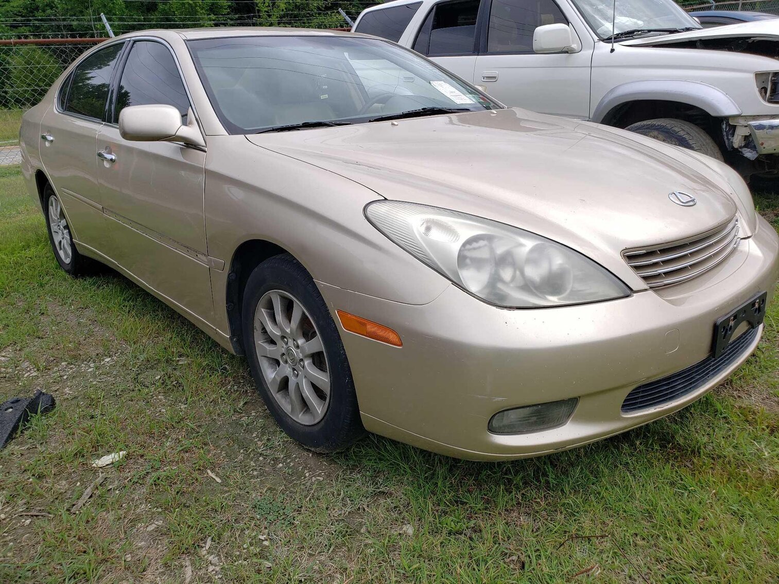 Image for July Impounds