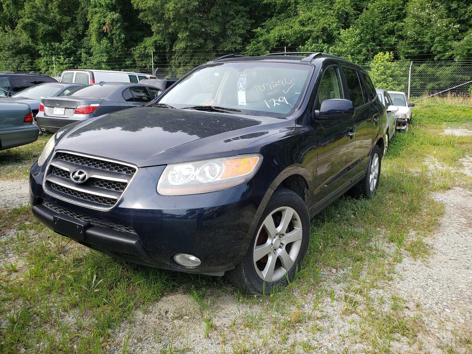 Image for July Impounds