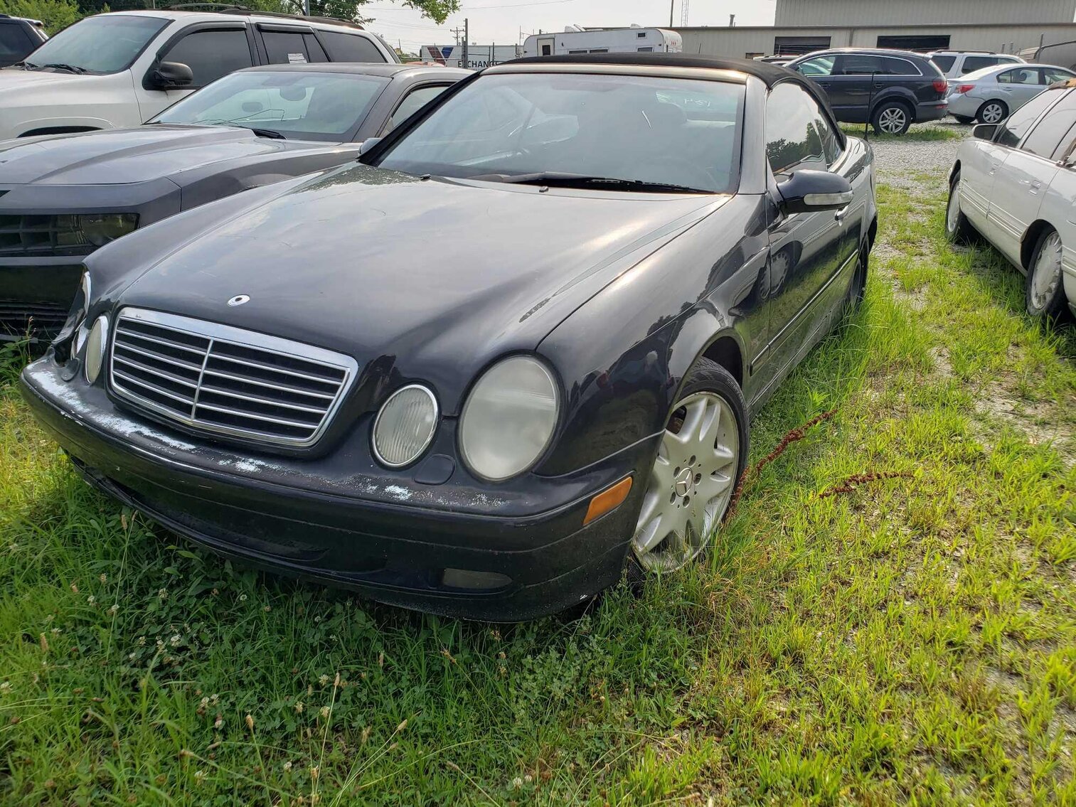 Image for July Impounds