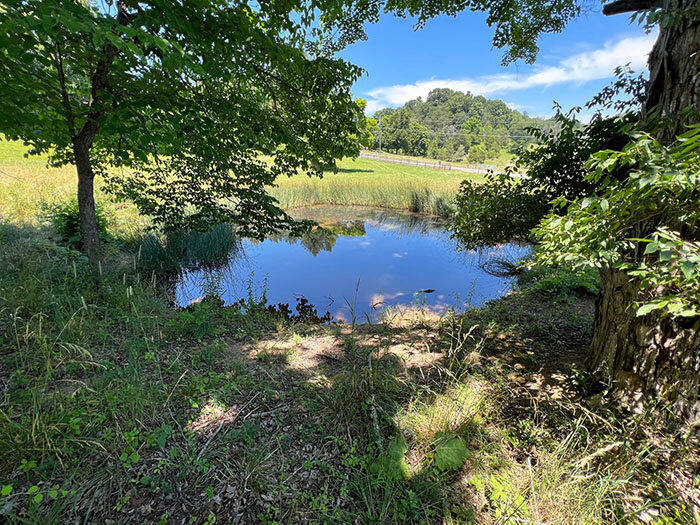 Image for  SATURDAY, JULY 16th * 10:00 AM