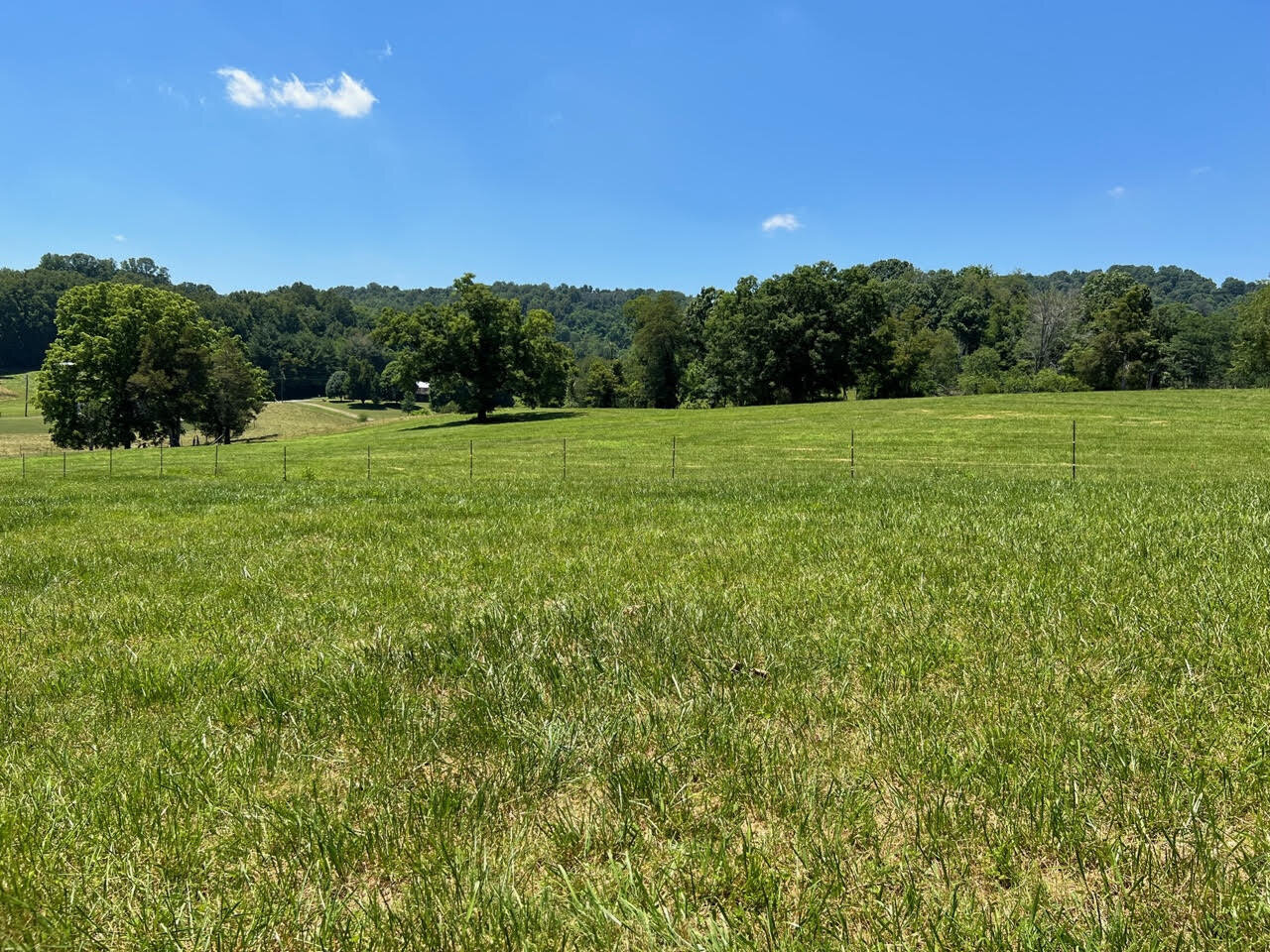 Image for  SATURDAY, JULY 16th * 10:00 AM