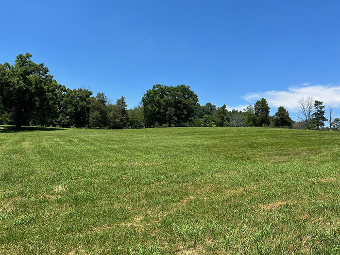 Image for  SATURDAY, JULY 16th * 10:00 AM