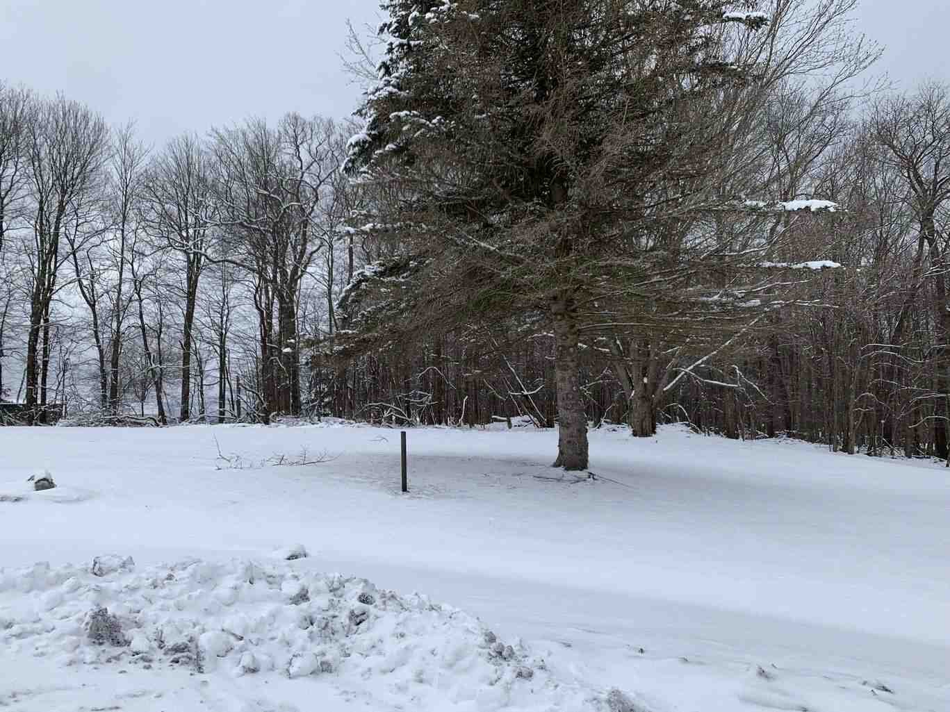 Image for SOLD - 1 Acre Lot in Oakland