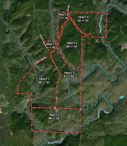 Image for Randolph County, AL - Timberland Auction