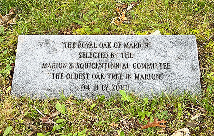 Image for  SATURDAY, JULY 23rd * 10:00 AM