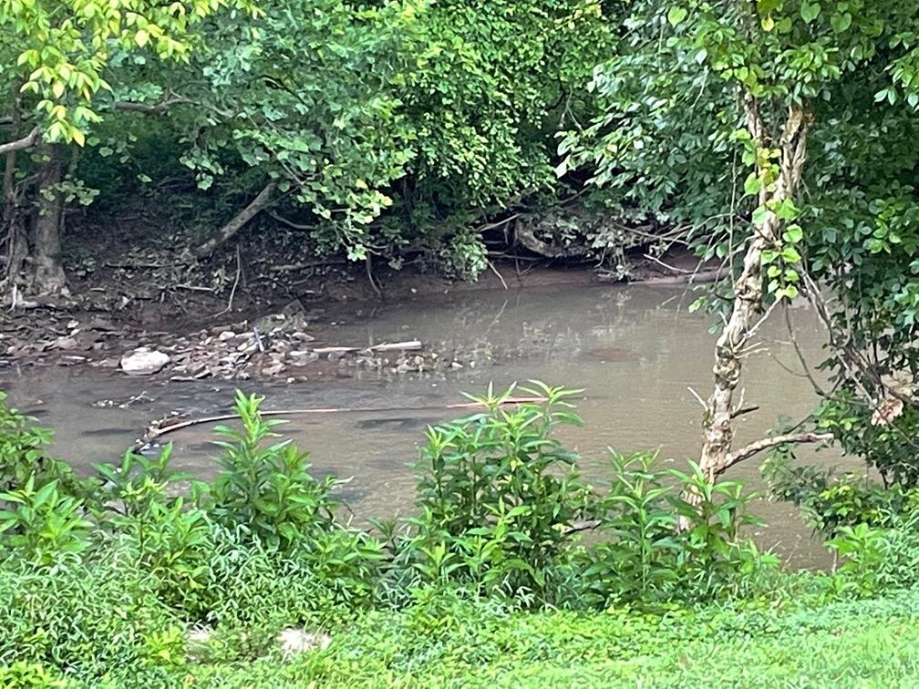 Image for Washington - Nice Selection of Hand Tools, Shop Items, Office Furniture, Taxidermy, & more