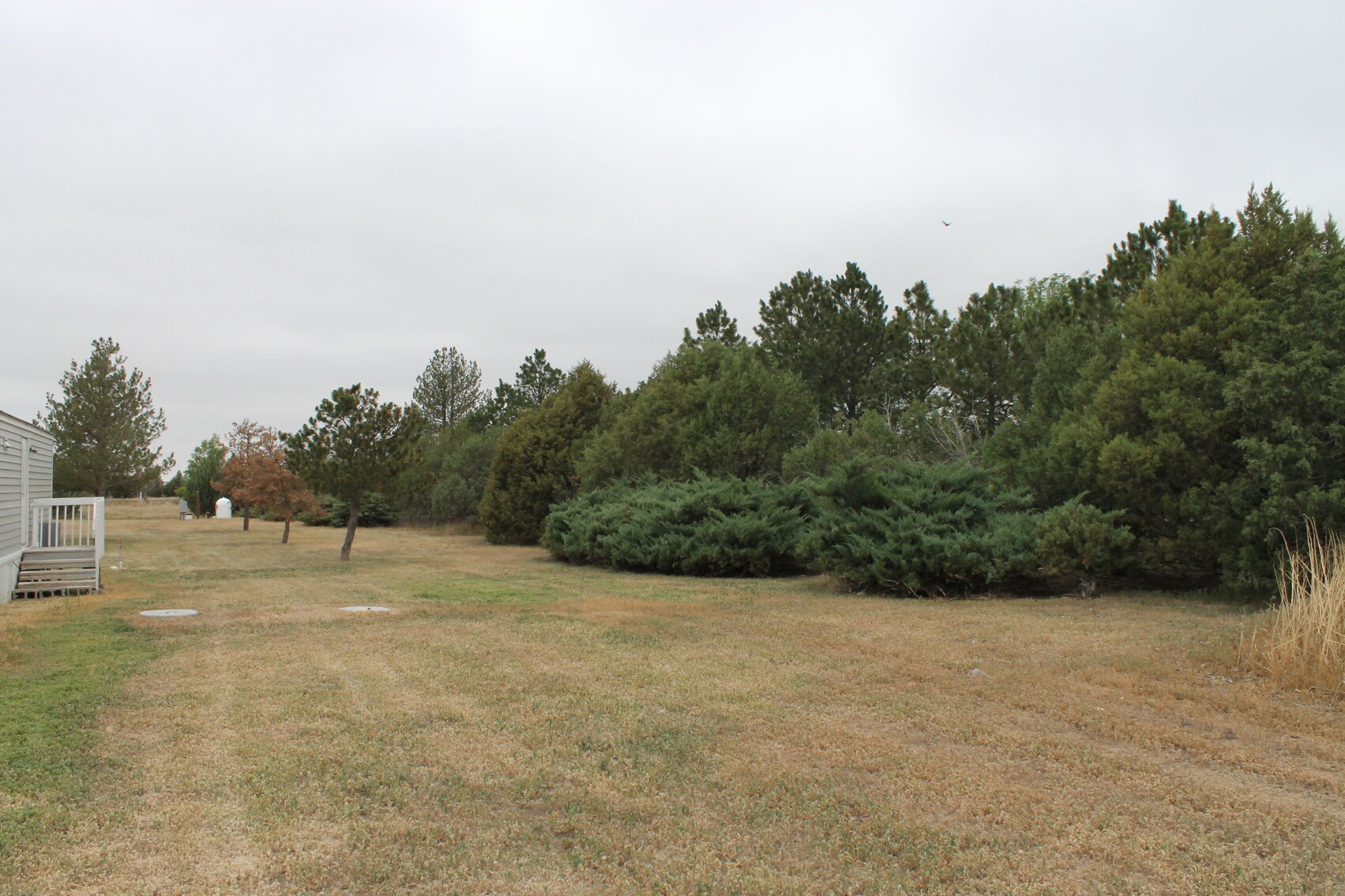 Image for KIT CARSON COUNTY, CO - RURAL PROPERTY (C4069)