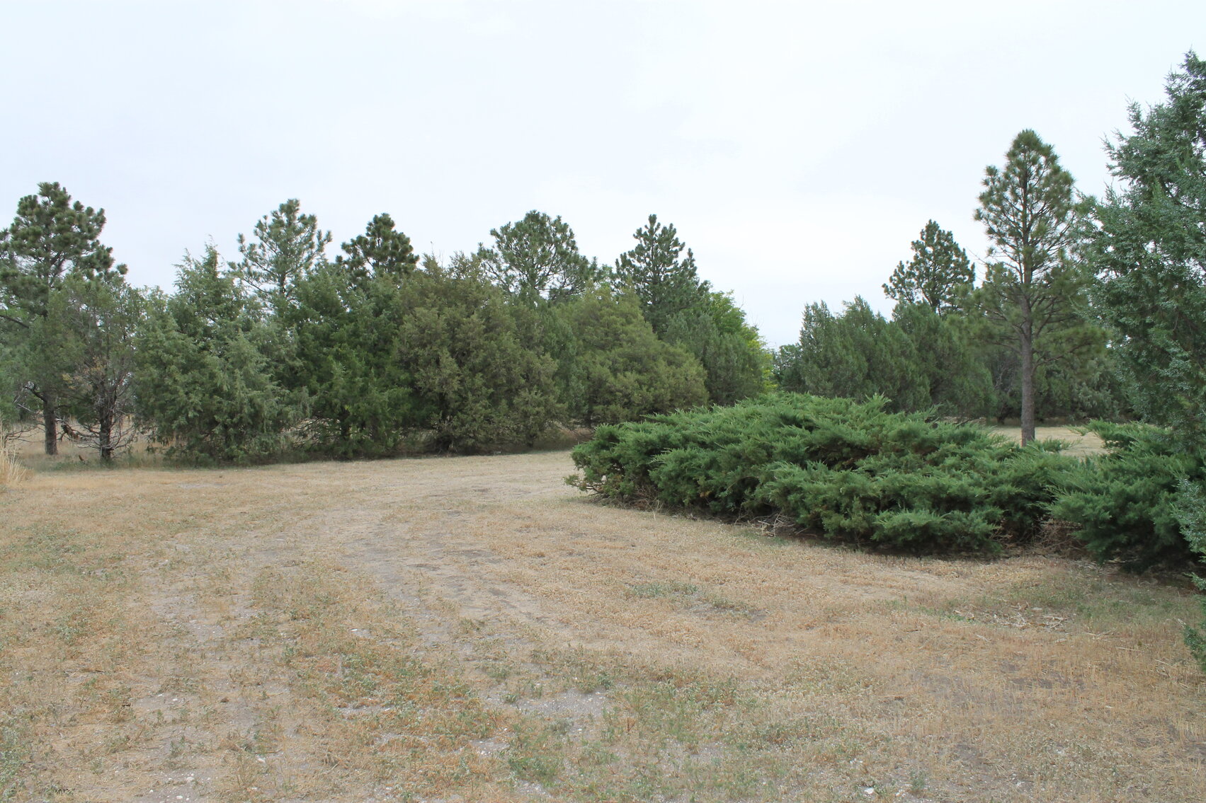 Image for KIT CARSON COUNTY, CO - RURAL PROPERTY (C4069)