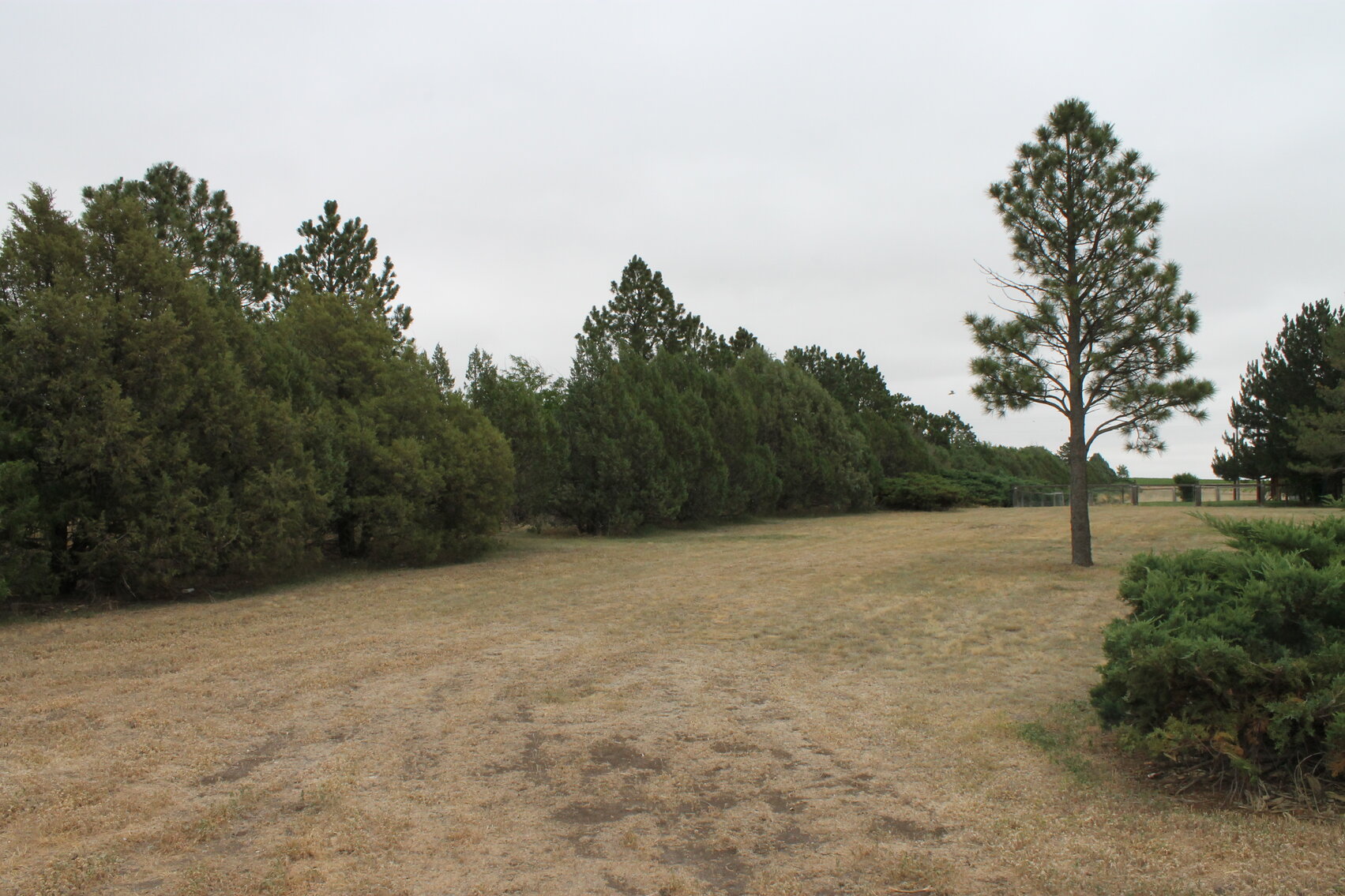Image for KIT CARSON COUNTY, CO - RURAL PROPERTY (C4069)