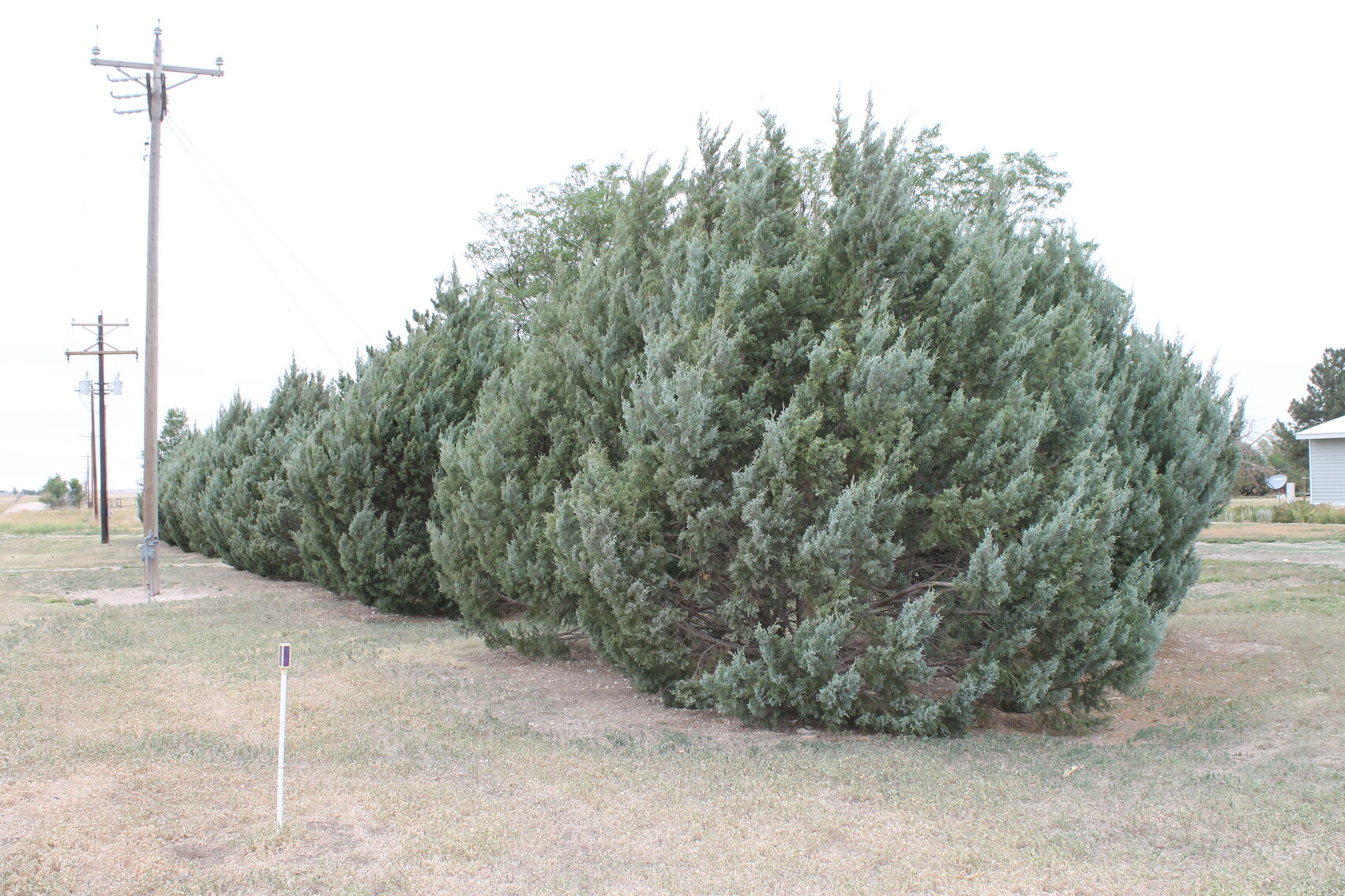 Image for KIT CARSON COUNTY, CO - RURAL PROPERTY (C4069)