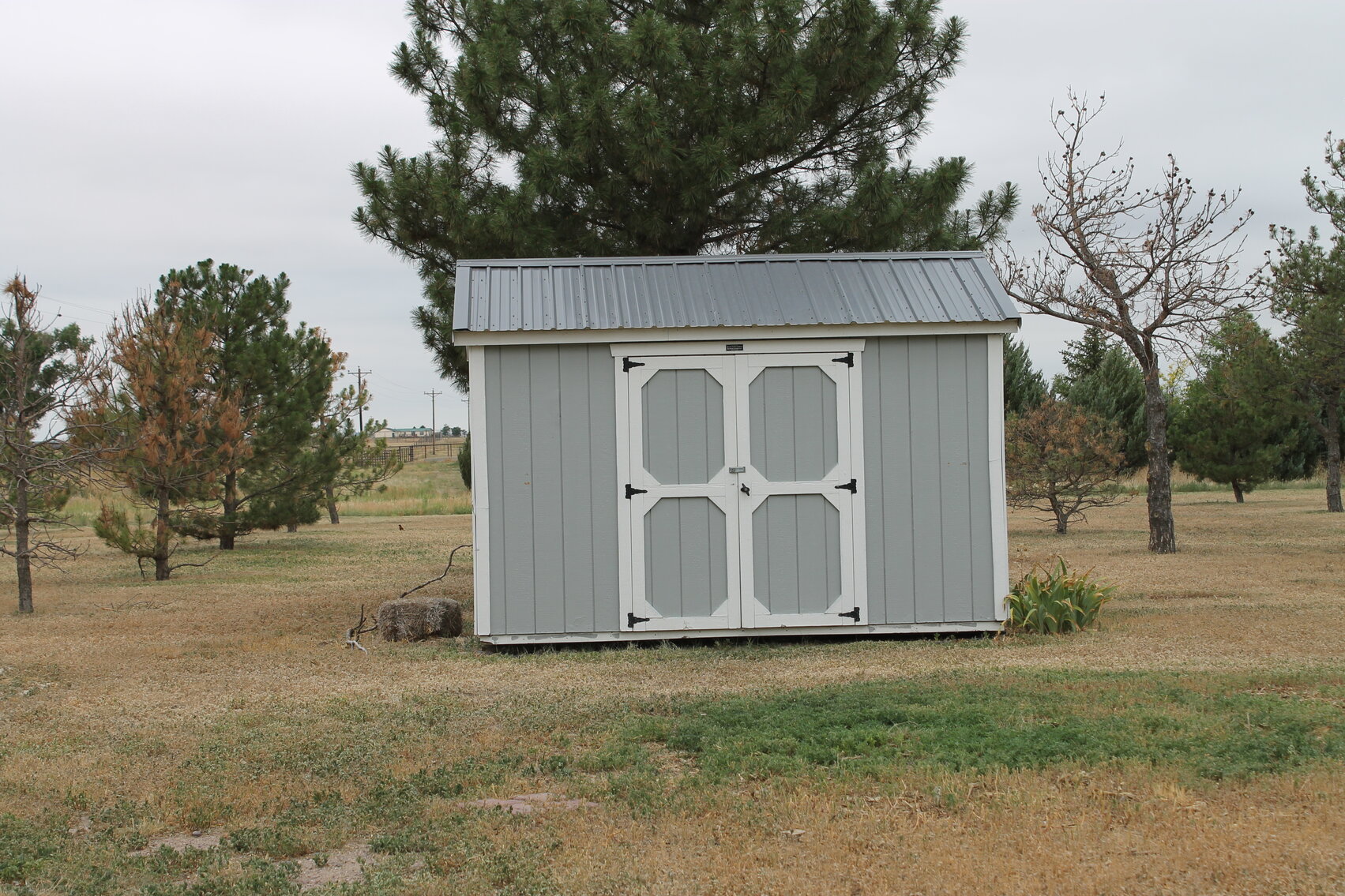 Image for KIT CARSON COUNTY, CO - RURAL PROPERTY (C4069)