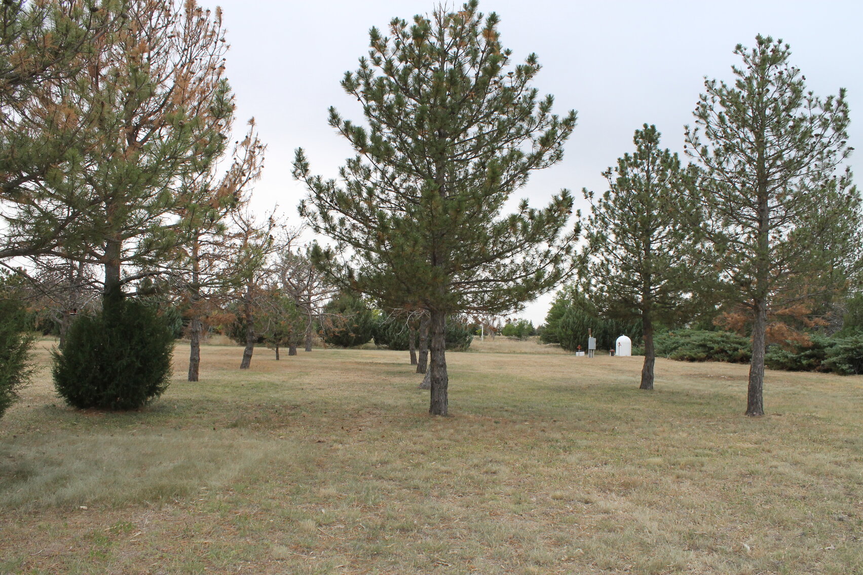 Image for KIT CARSON COUNTY, CO - RURAL PROPERTY (C4069)