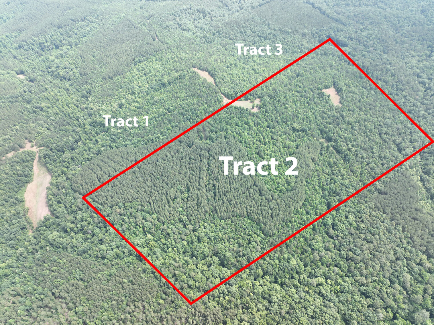 Image for Randolph County, AL - Timberland Auction