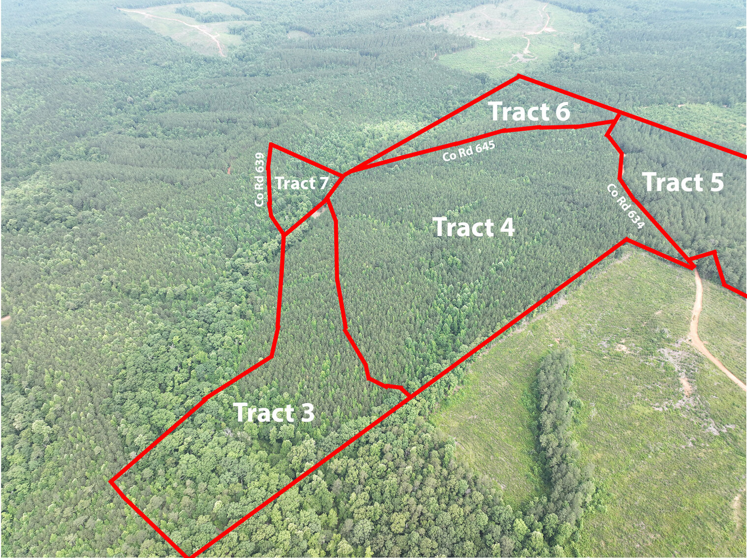 Image for Randolph County, AL - Timberland Auction