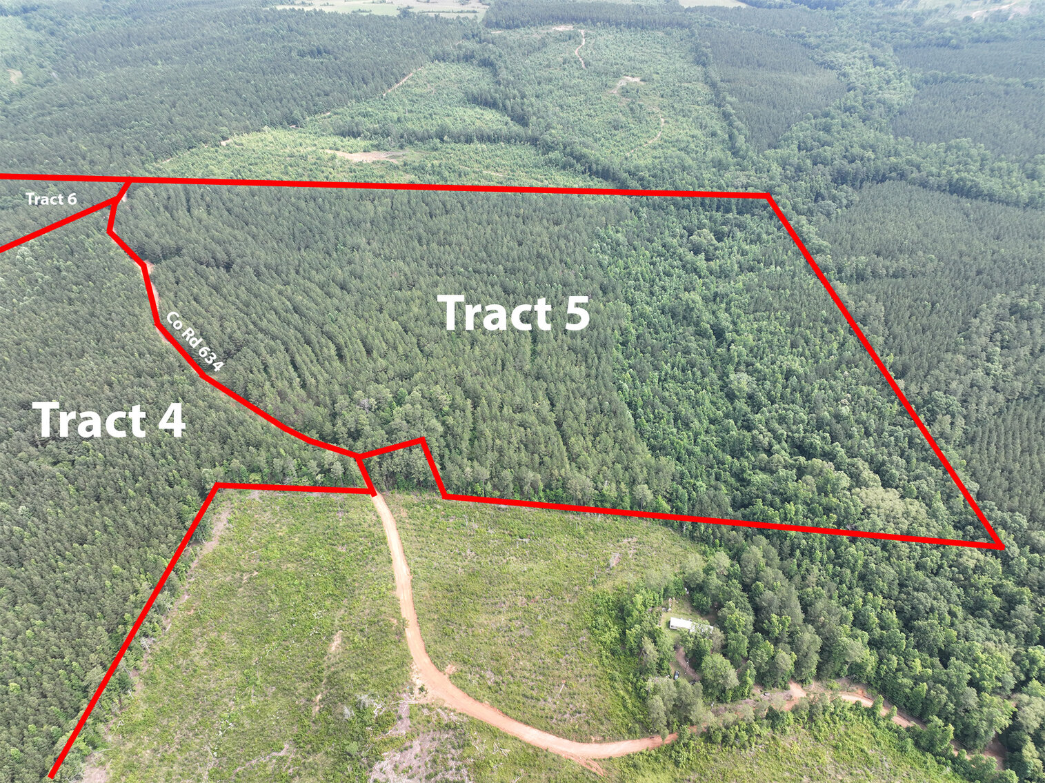 Image for Randolph County, AL - Timberland Auction