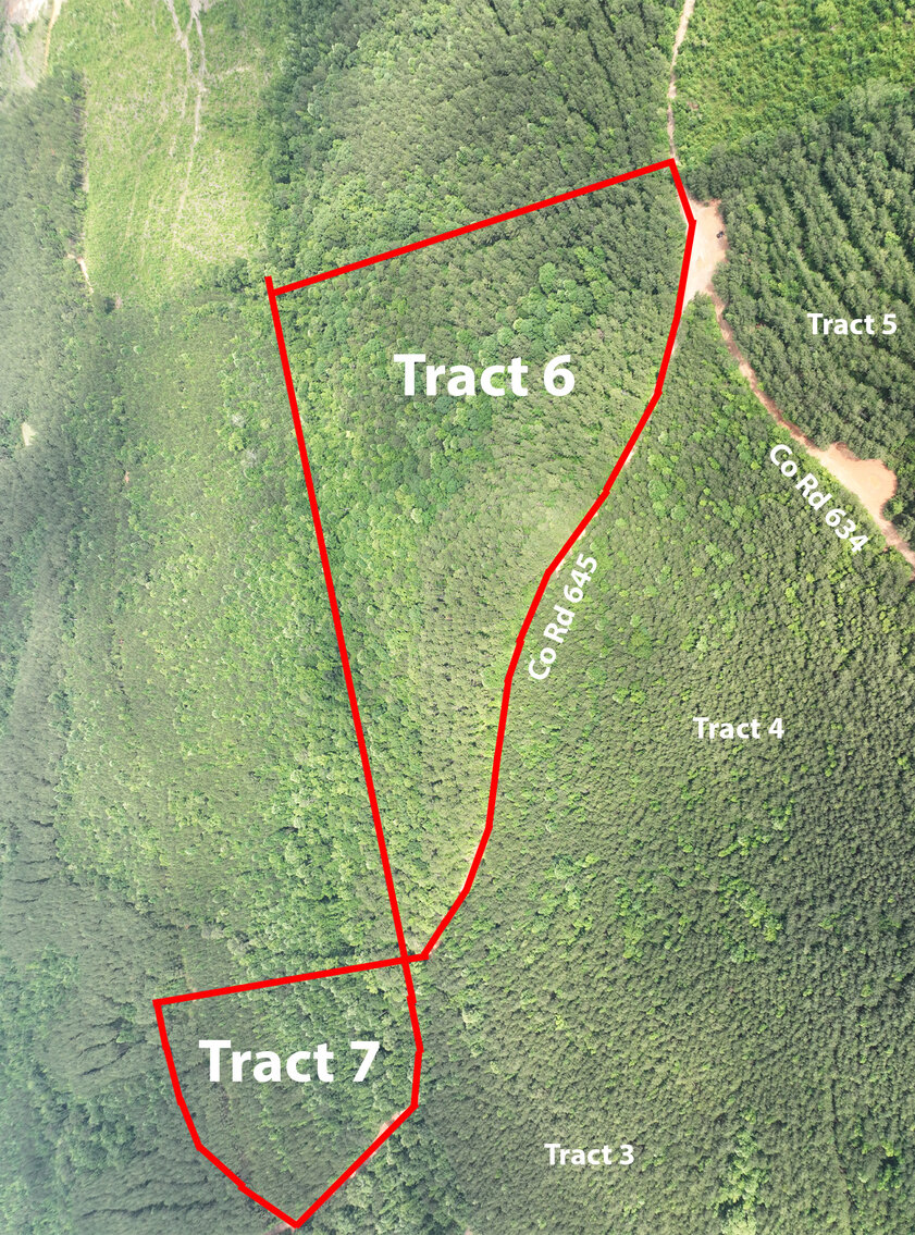 Image for Randolph County, AL - Timberland Auction