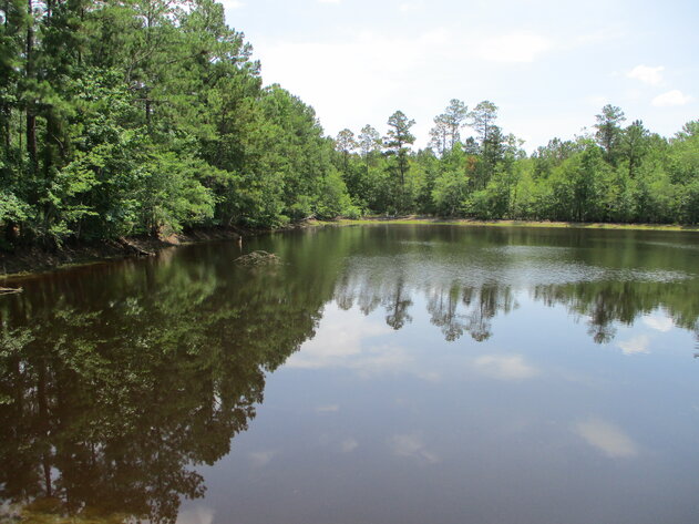Image for LIVE ESTATE AUCTION - 500± acres, Home and Residential Lots located in Laurens County