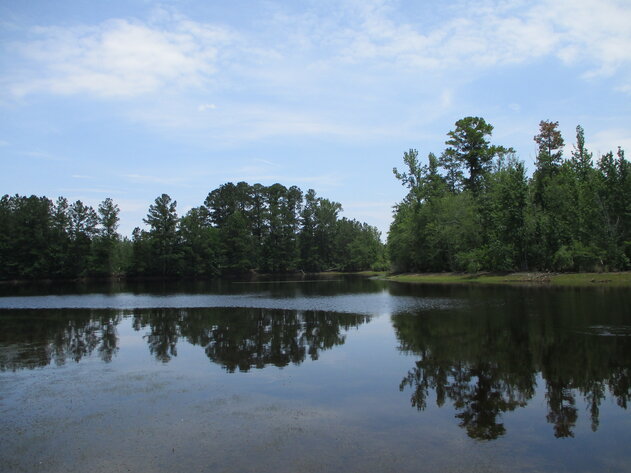 Image for LIVE ESTATE AUCTION - 500± acres, Home and Residential Lots located in Laurens County