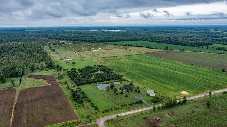Image for BLACK CREEK LAND AUCTION