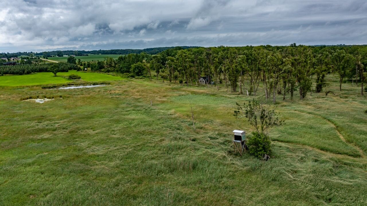 BLACK CREEK LAND AUCTION