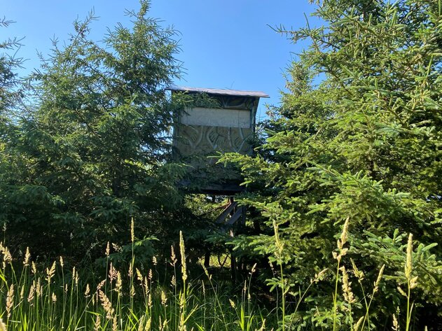 Image for BLACK CREEK LAND AUCTION