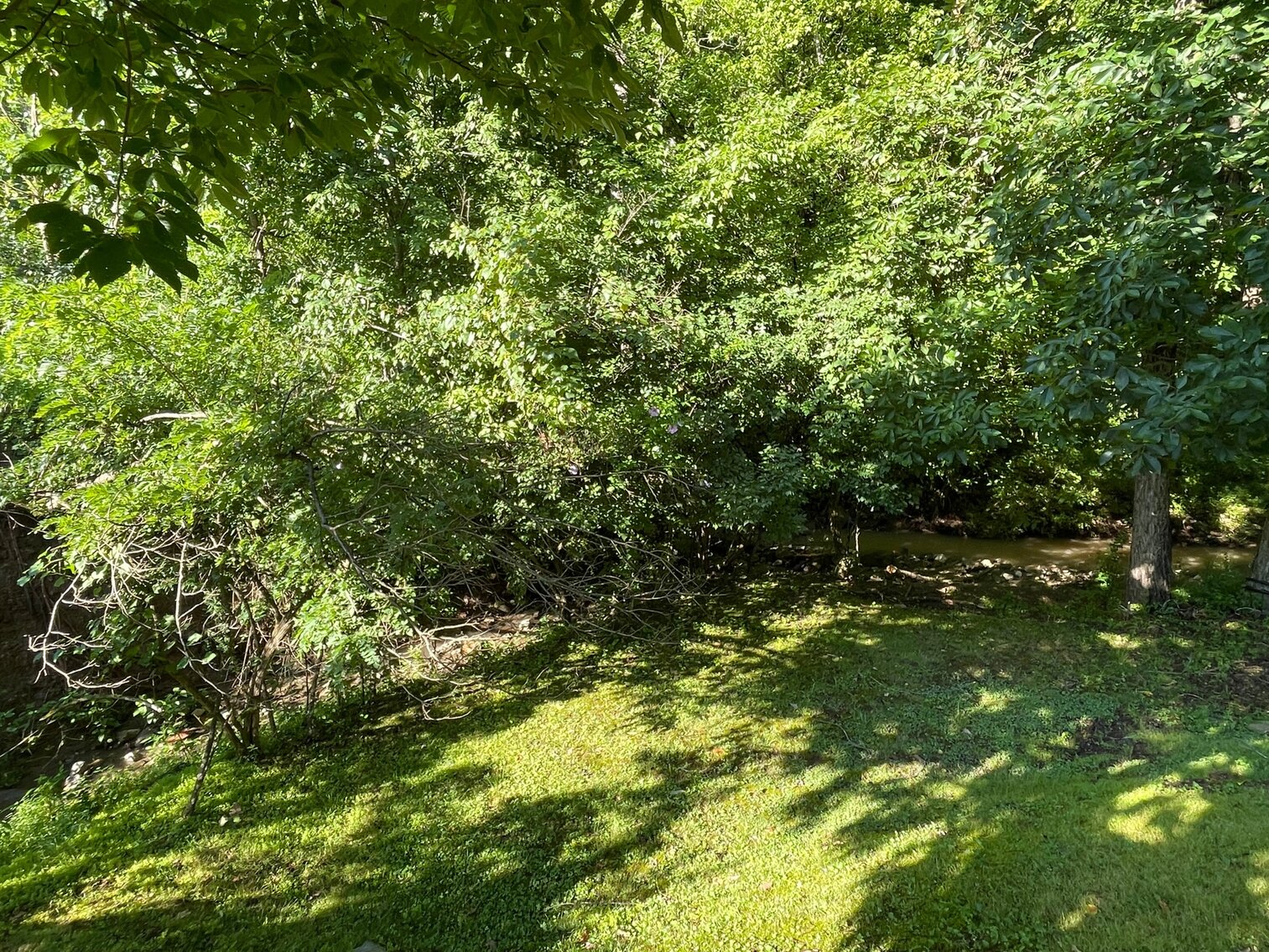 Image for SOLD $50,050 - 3 Bedroom Cape Cod Selling to the Highest Bidder