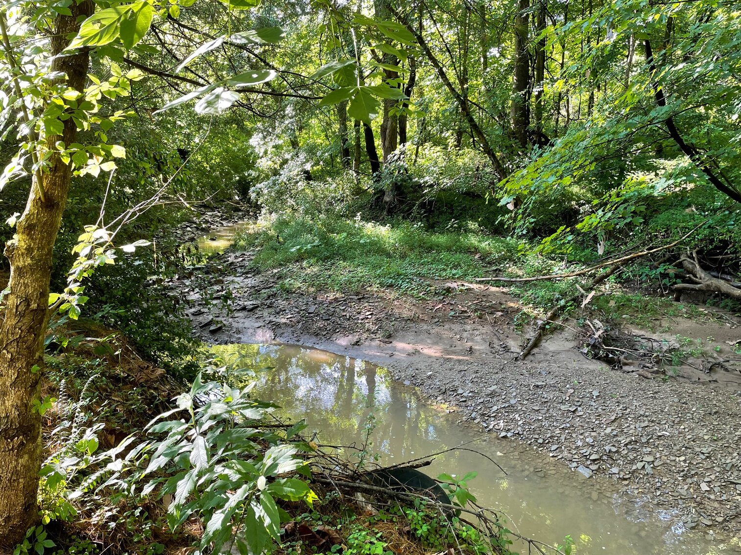 Image for SOLD $50,050 - 3 Bedroom Cape Cod Selling to the Highest Bidder