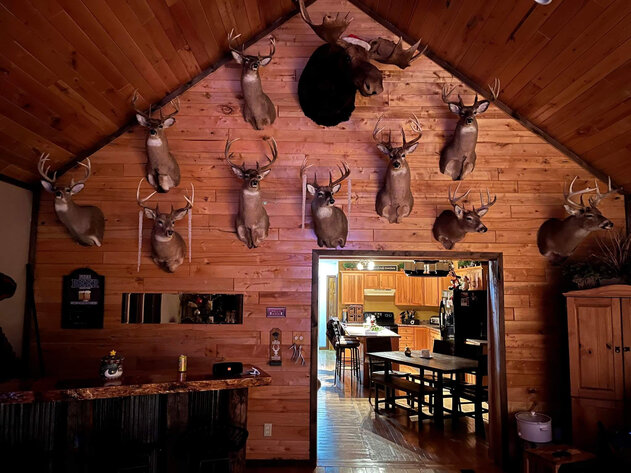 Image for BLACK CREEK LAND AUCTION