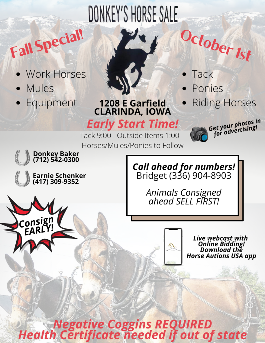 Image for FALL SPECIAL! Donkey's Horse Sale - Clarinda, Iowa - October 1st