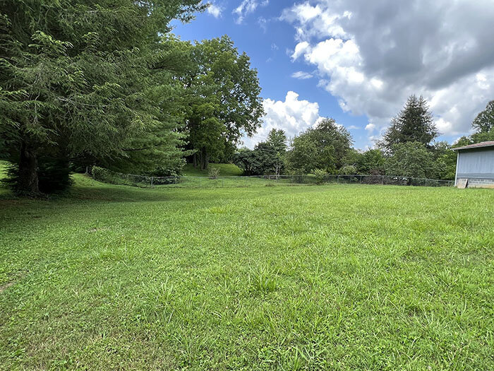 Image for SATURDAY, AUGUST 6th * 10:00 AM