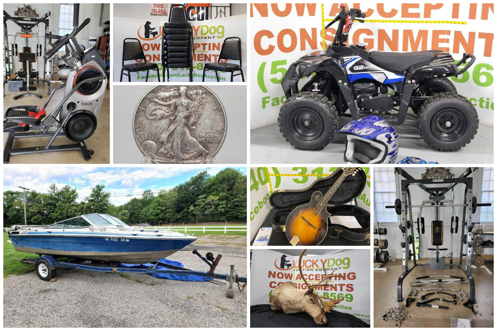 Image for July Consignment Auction