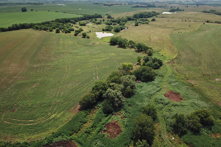 Image for Burrows Tracts Real Estate Pawnee County, NE Land Auction
