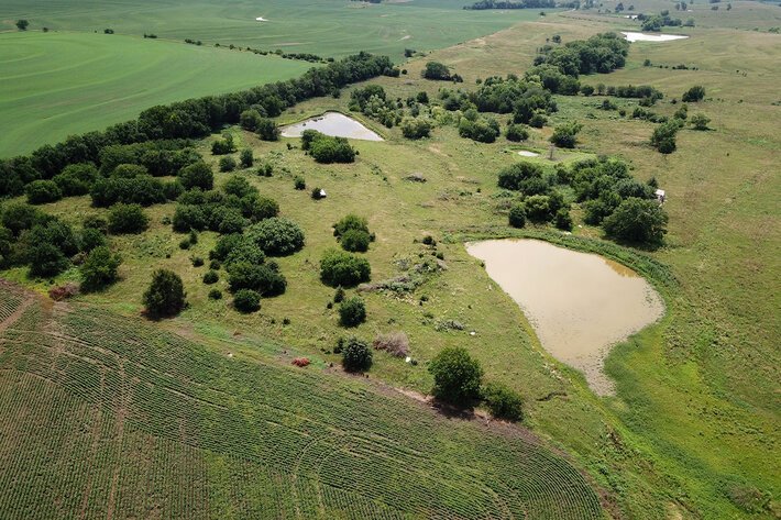 Image for Burrows Tracts Real Estate Pawnee County, NE Land Auction