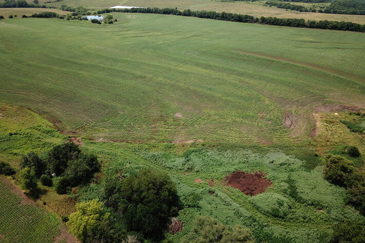 Image for Burrows Tracts Real Estate Pawnee County, NE Land Auction