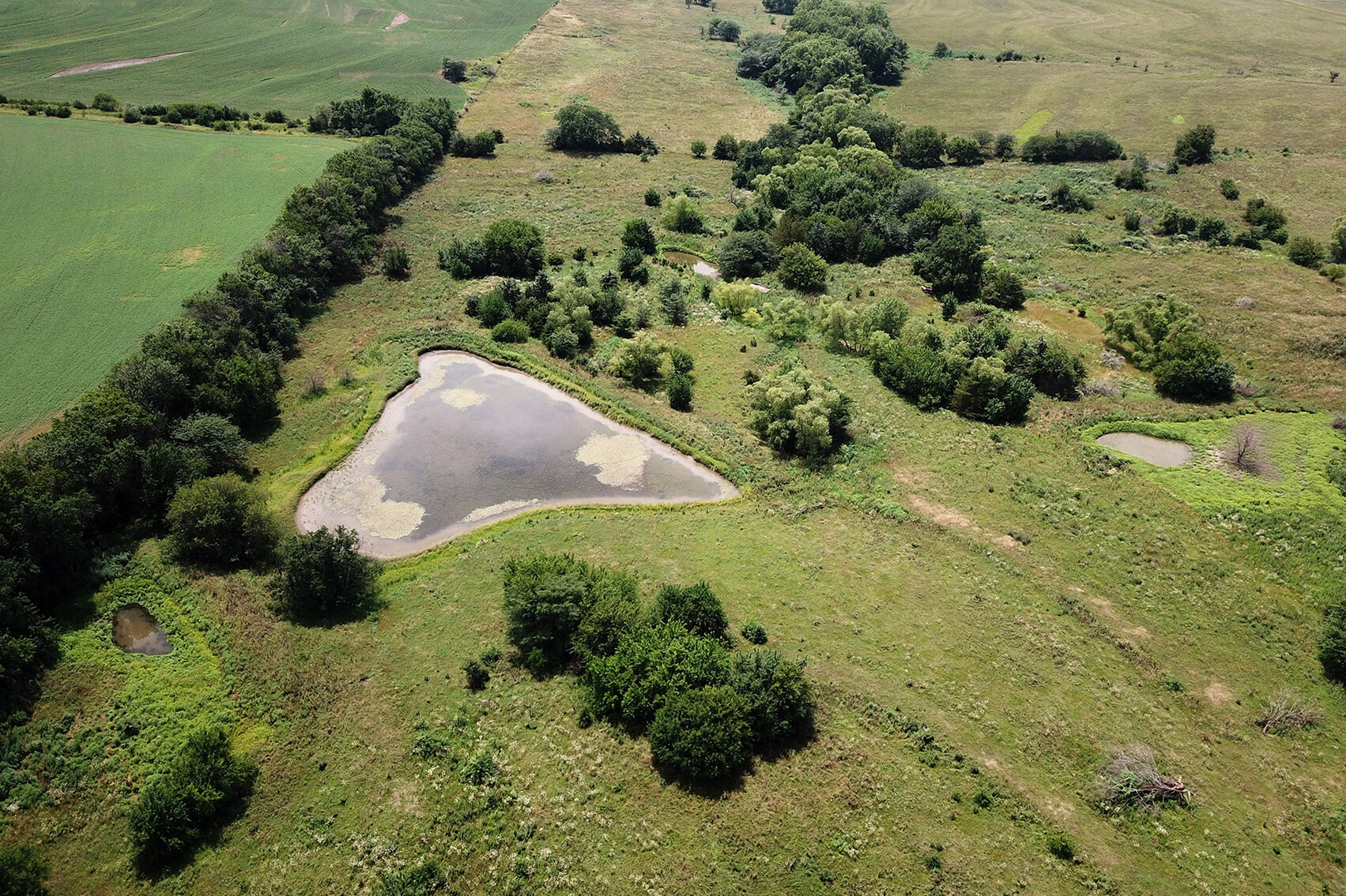 Image for Burrows Tracts Real Estate Pawnee County, NE Land Auction